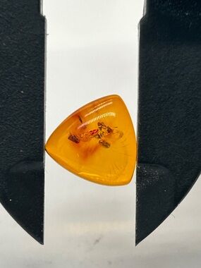 Genuine Baltic Amber Loose Stone